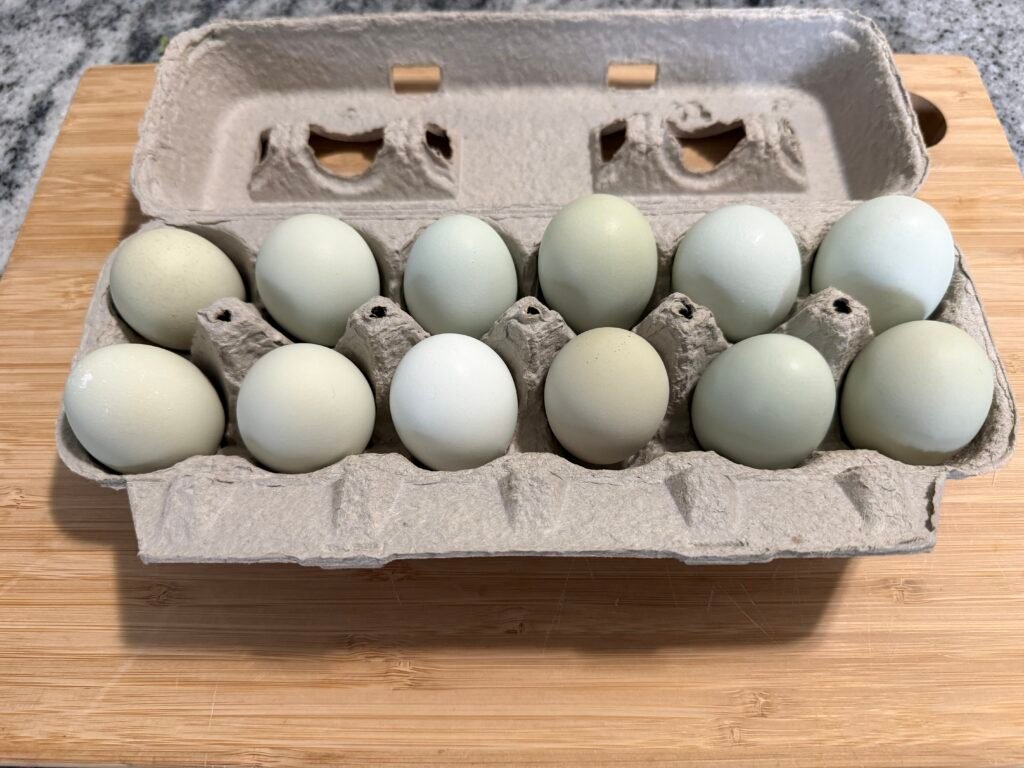 green/blue eggs