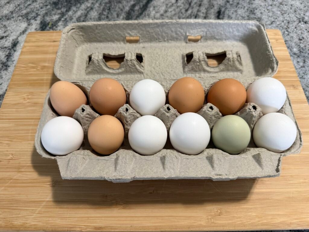mixed color eggs